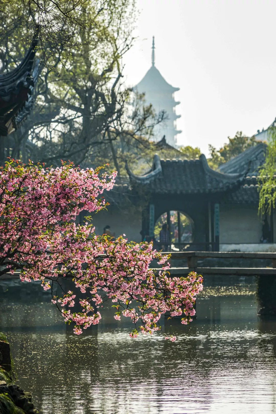 借景